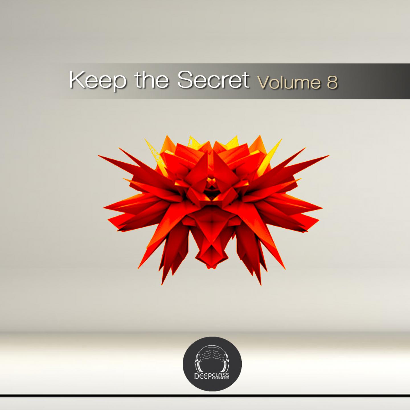 Постер альбома Keep the Secret, Vol. 8