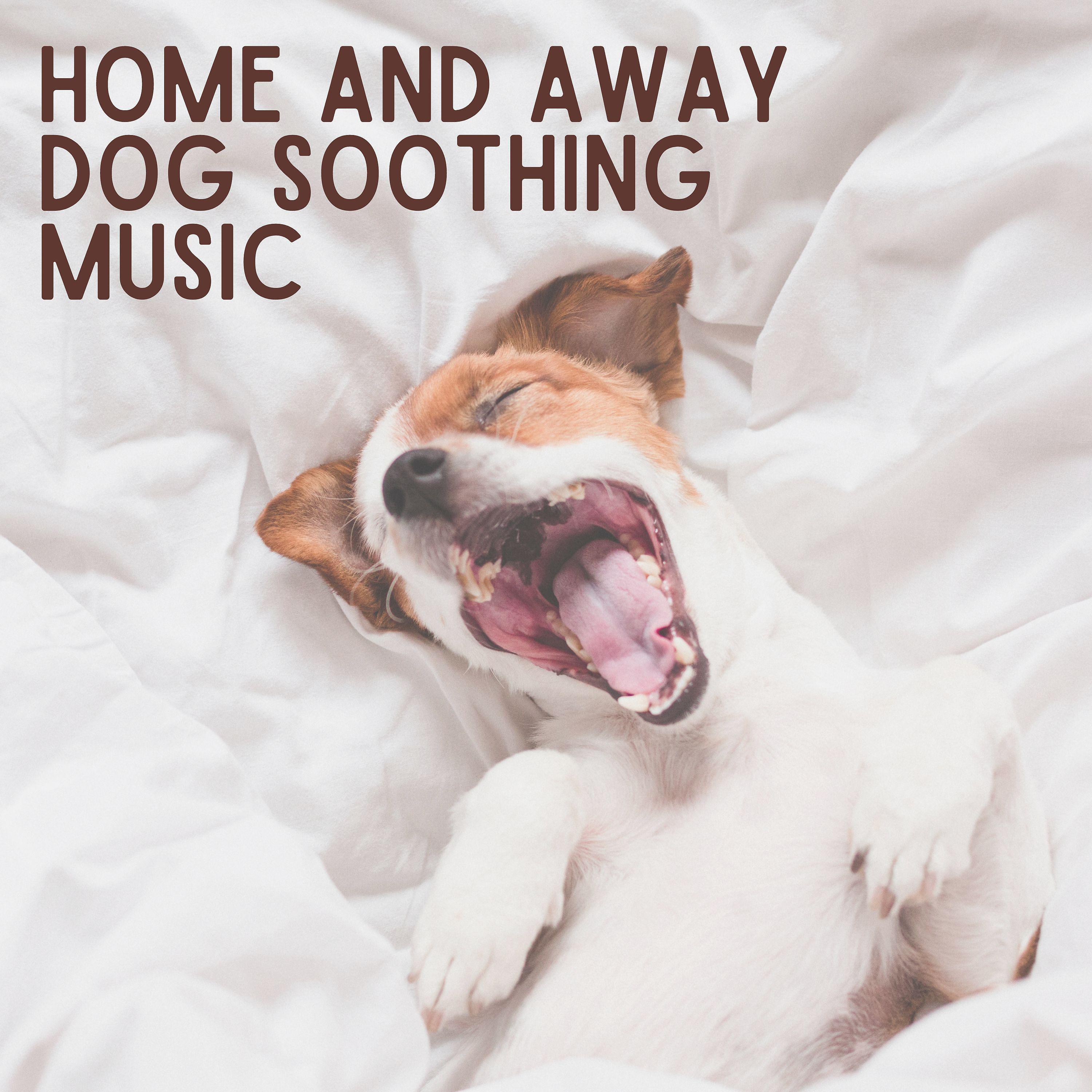 Постер альбома Home and Away Dog Soothing Music