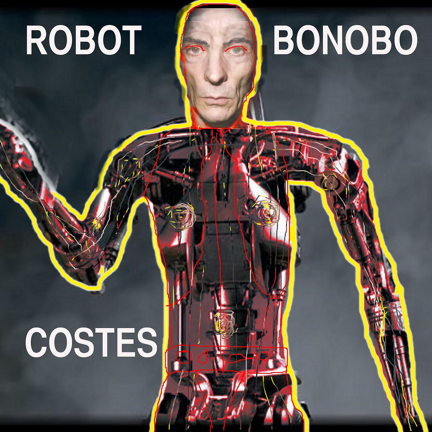 Постер альбома Robot bonobo