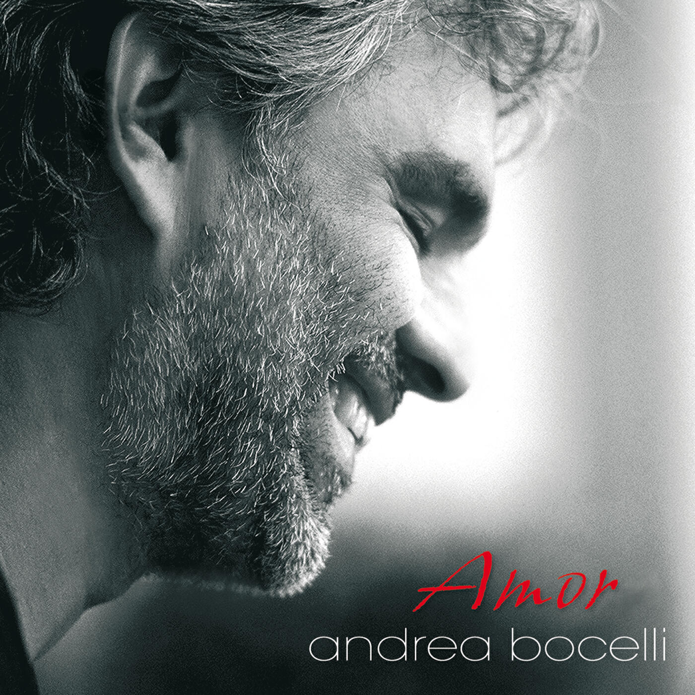 Andrea Bocelli - Somos Novios