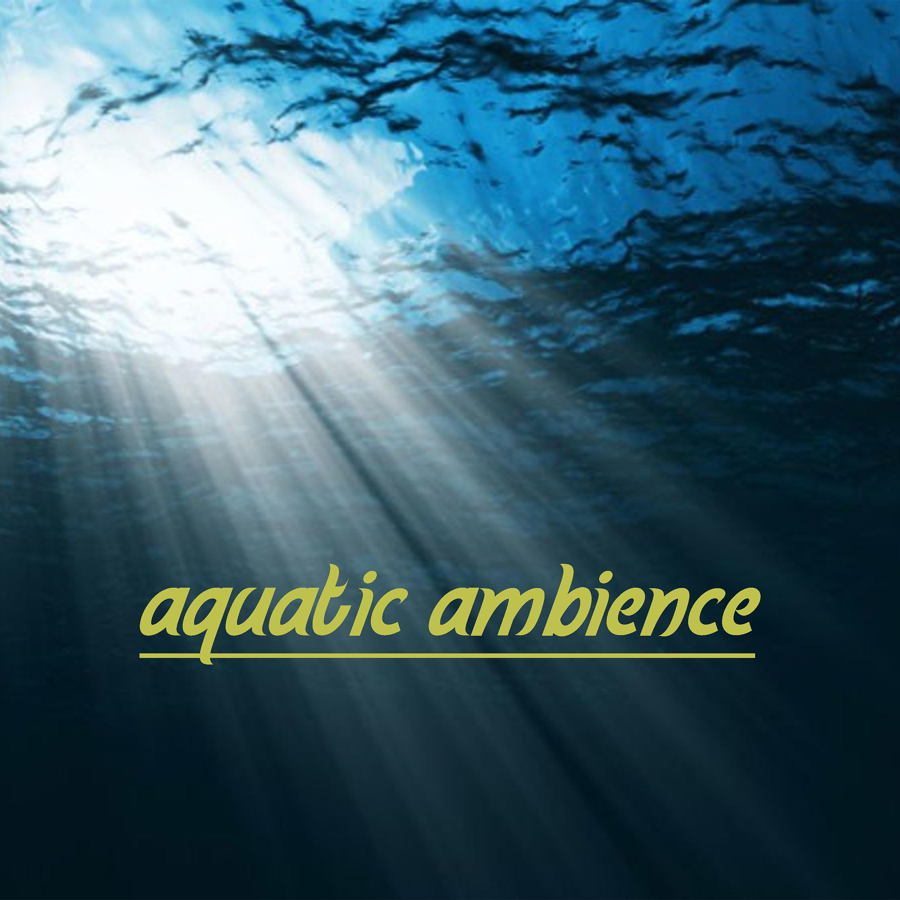 Aquatic ambience slowed reverb. Aquatic ambience. Scizzie - Aquatic ambience. Aquatic ambiance Wallpaper.