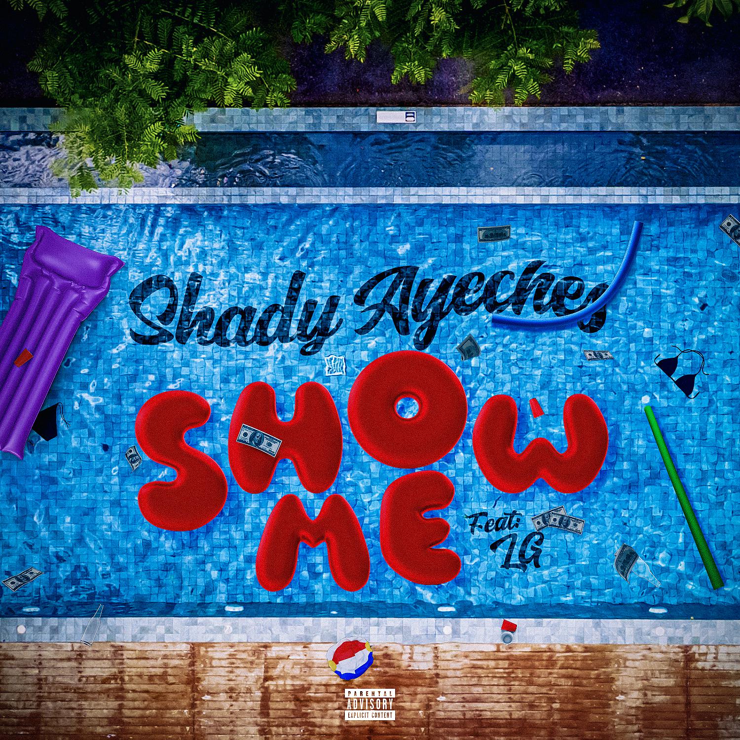 Постер альбома Show Me (feat. LG)