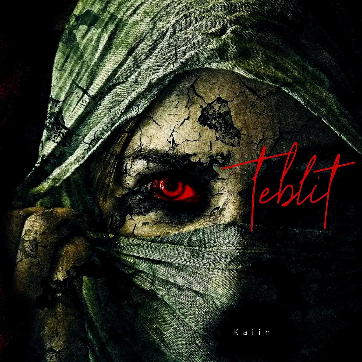 Постер альбома Teblit