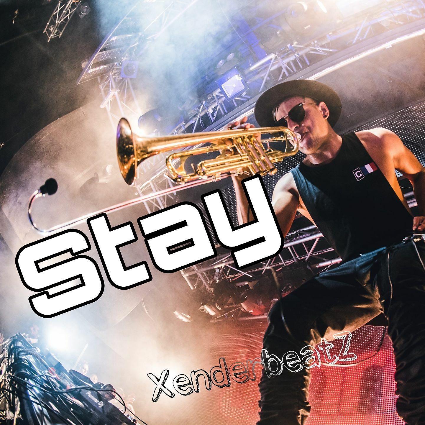 Постер альбома Stay (feat. Seazer)