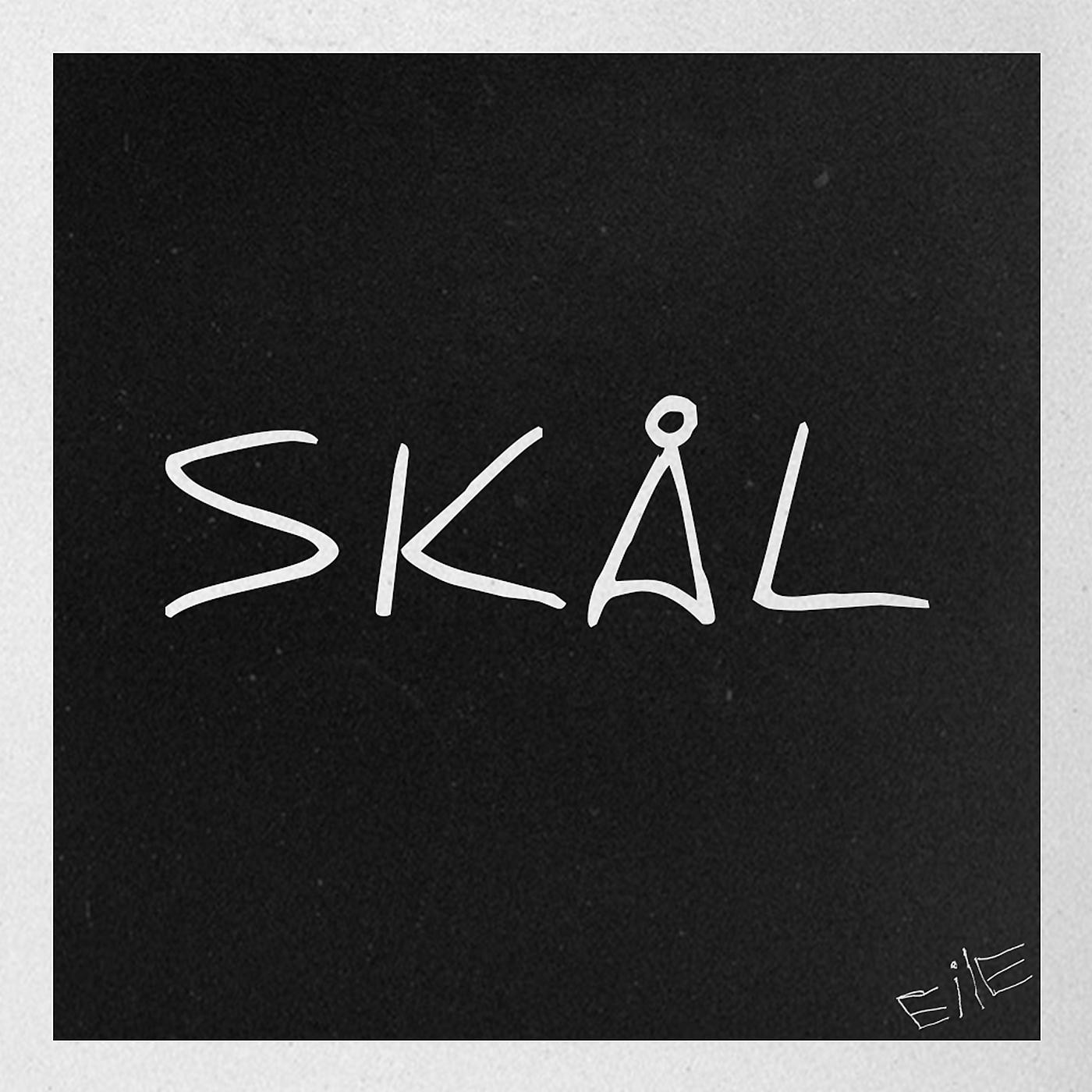 Постер альбома Skål
