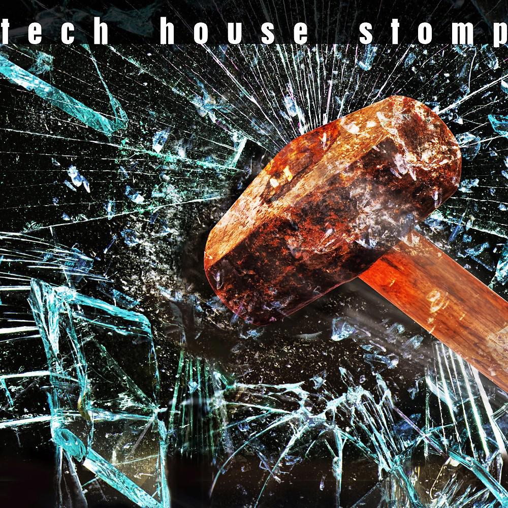 Постер альбома Tech House Stomp