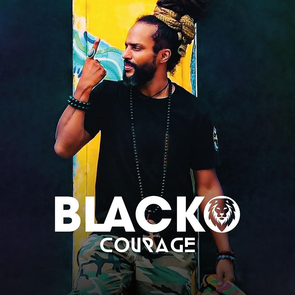 Постер альбома Courage
