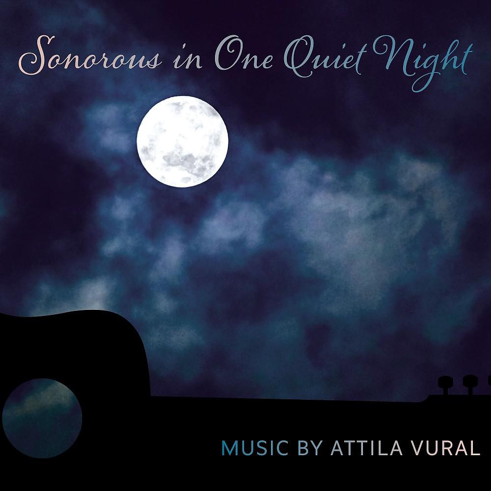 Постер альбома Sonorous in One Quiet Night