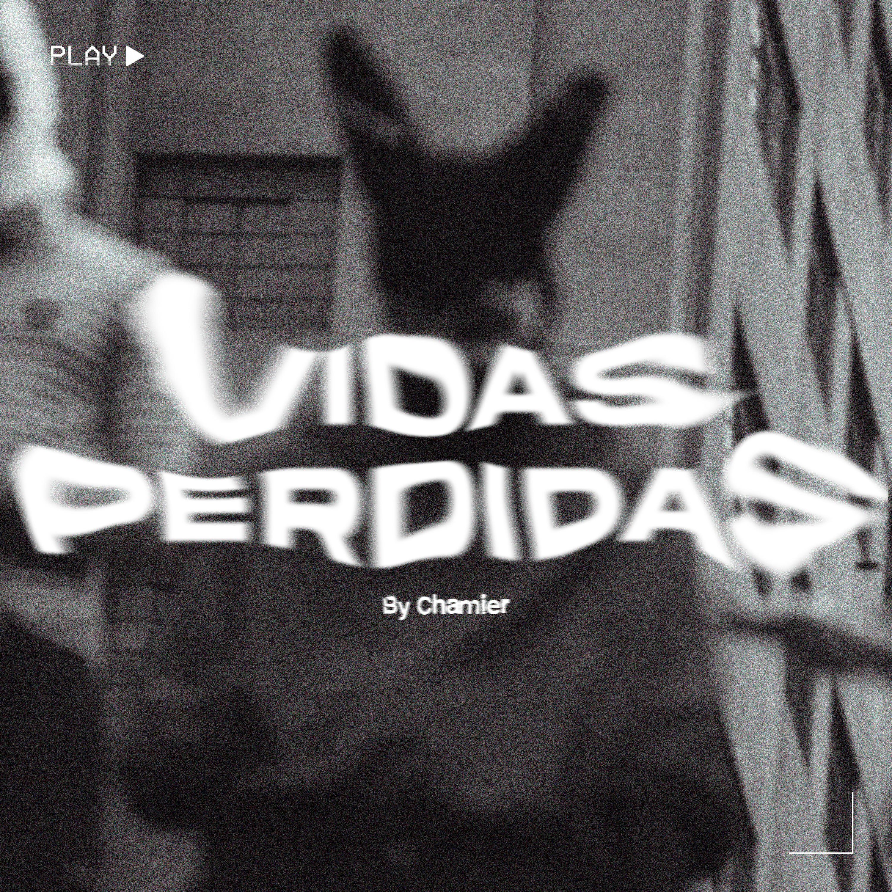 Постер альбома Vidas Perdidas