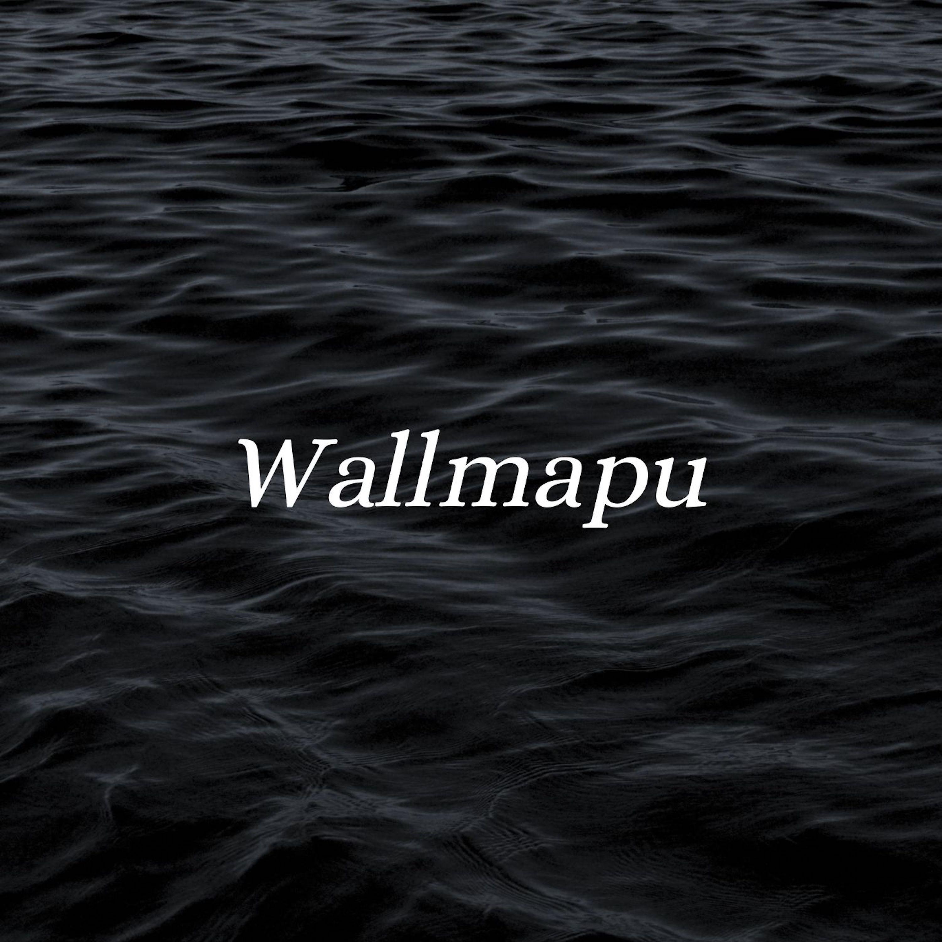 Постер альбома Wallmapu