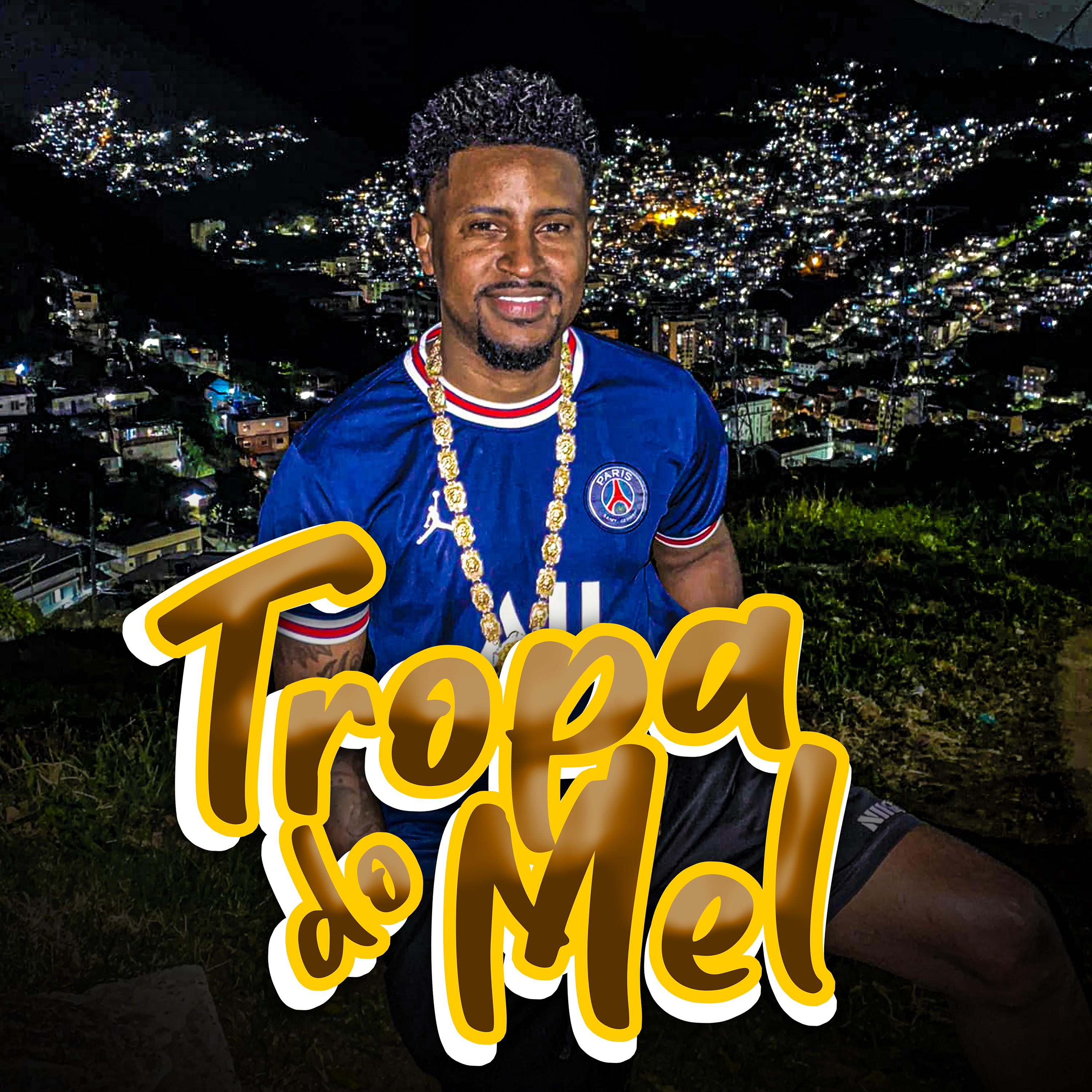 Постер альбома Tropa do Mel