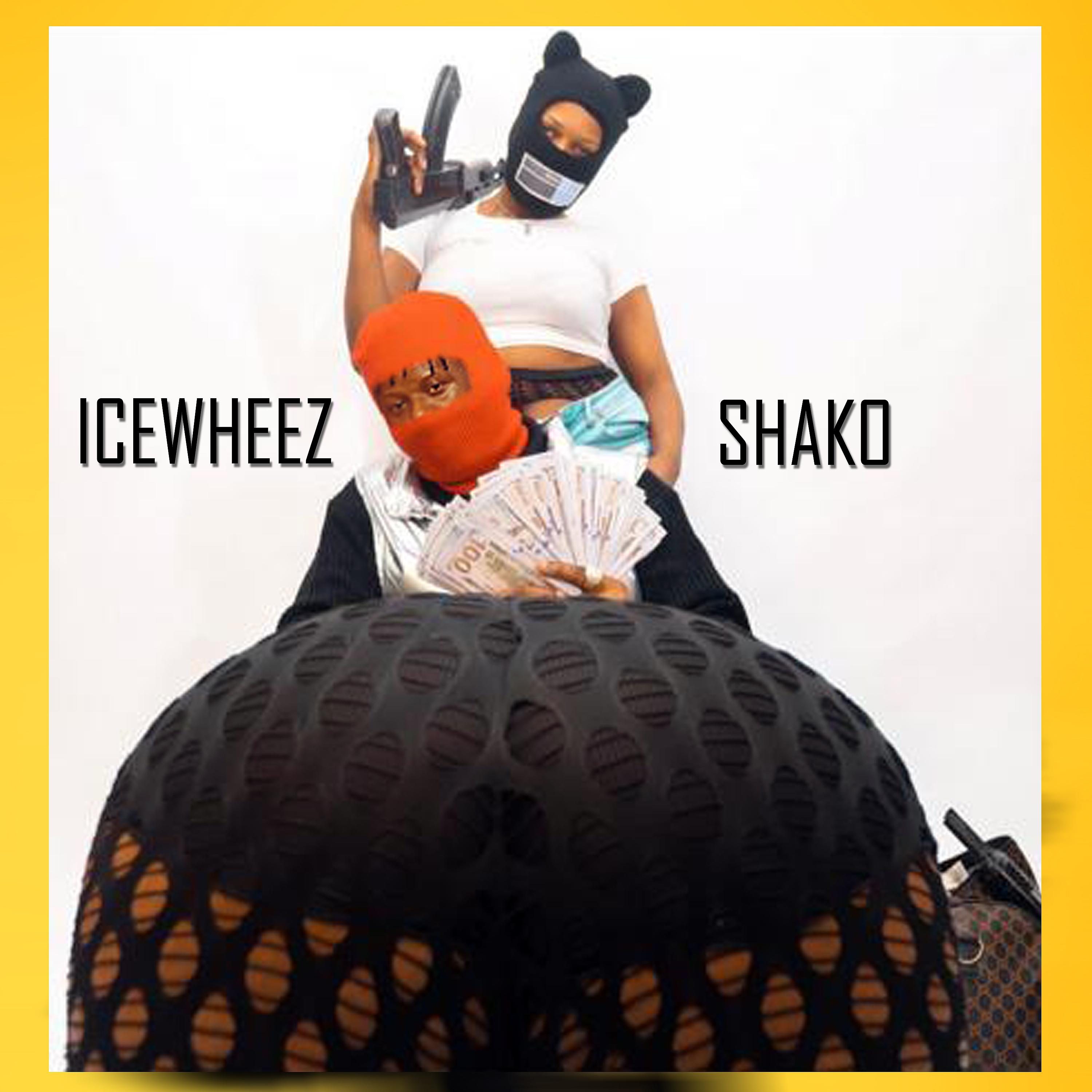 Постер альбома Shako