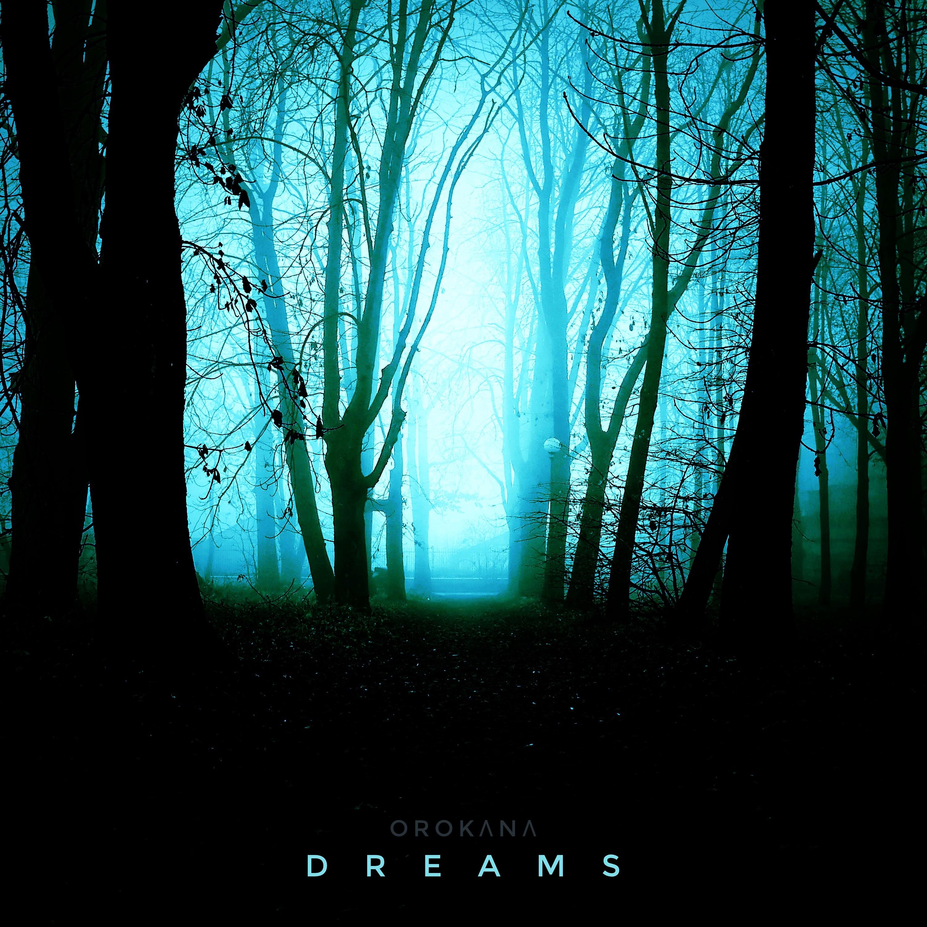 Постер альбома DREAMS