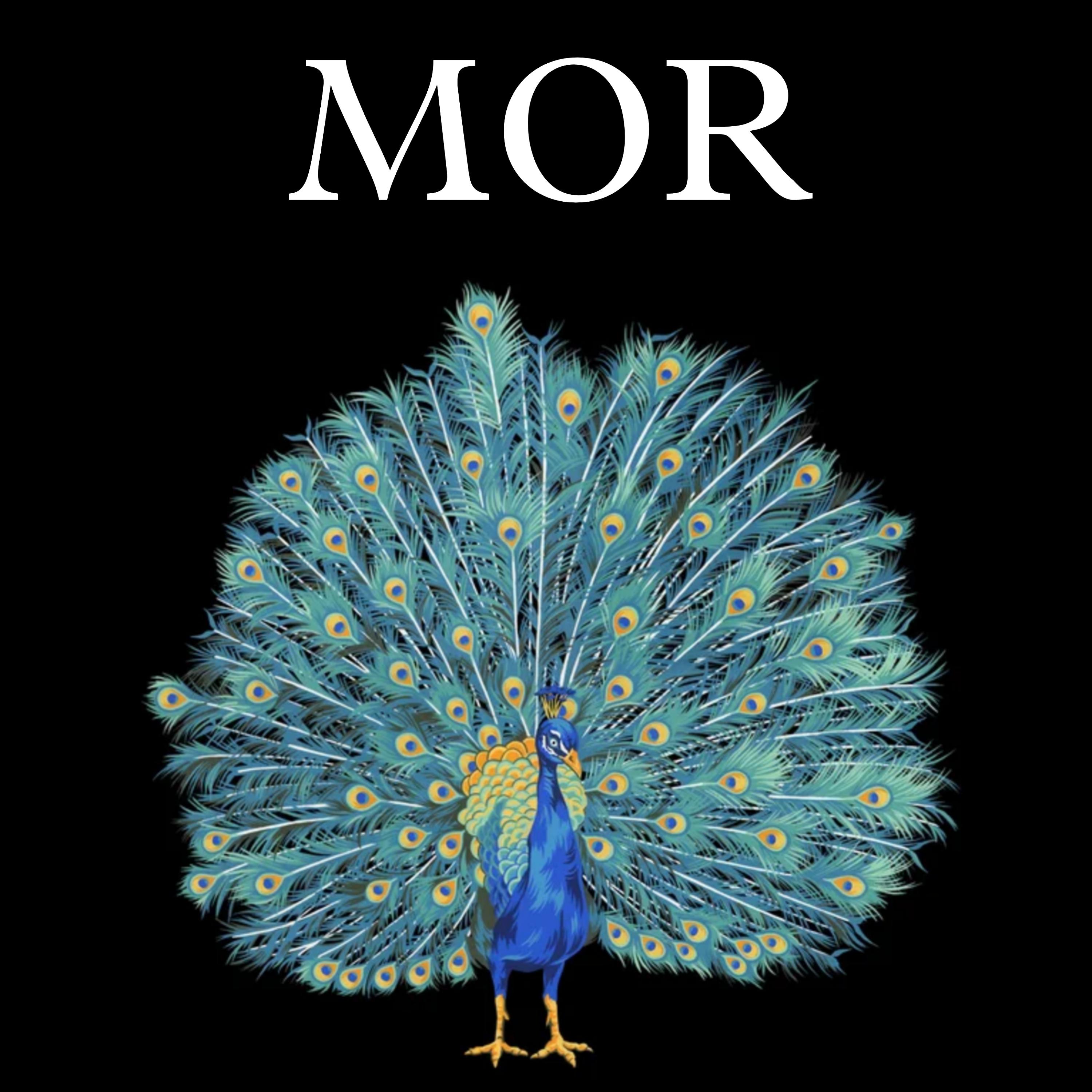 Постер альбома Mor