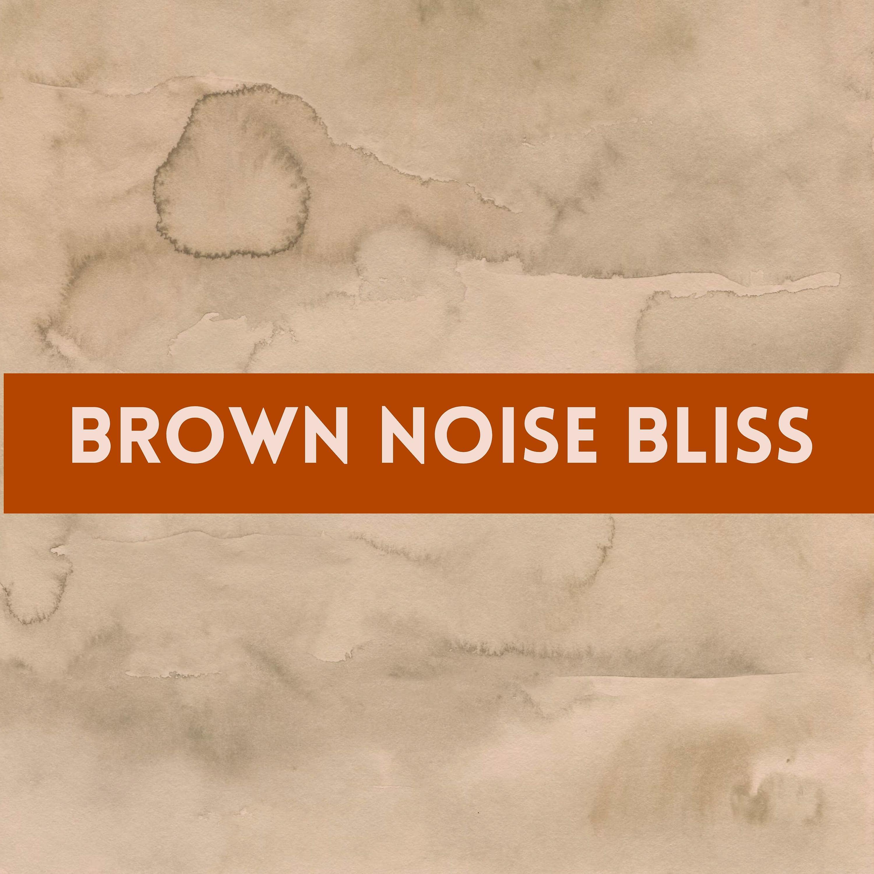 Постер альбома Brown Noise Bliss