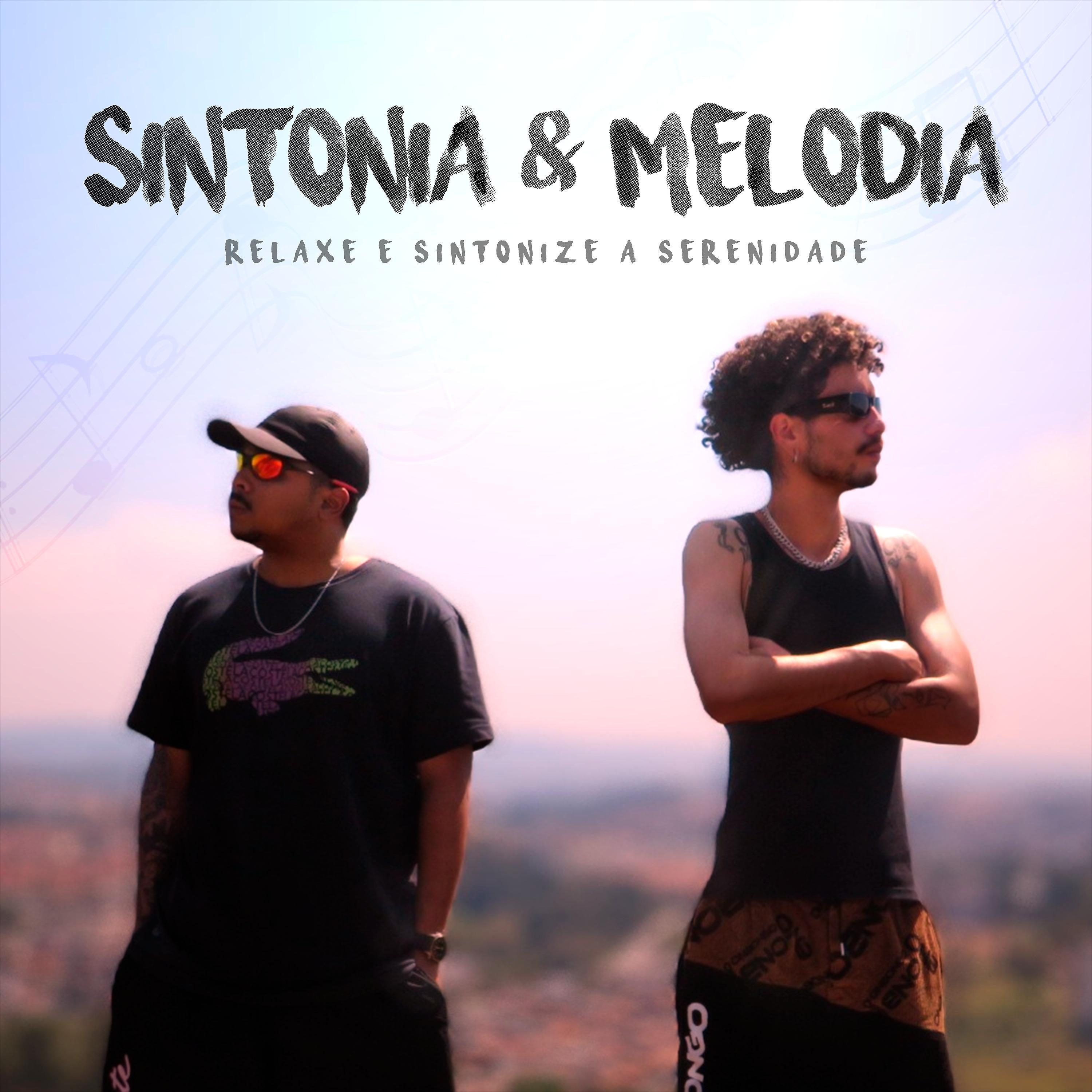 Постер альбома Sintonia & Melodia