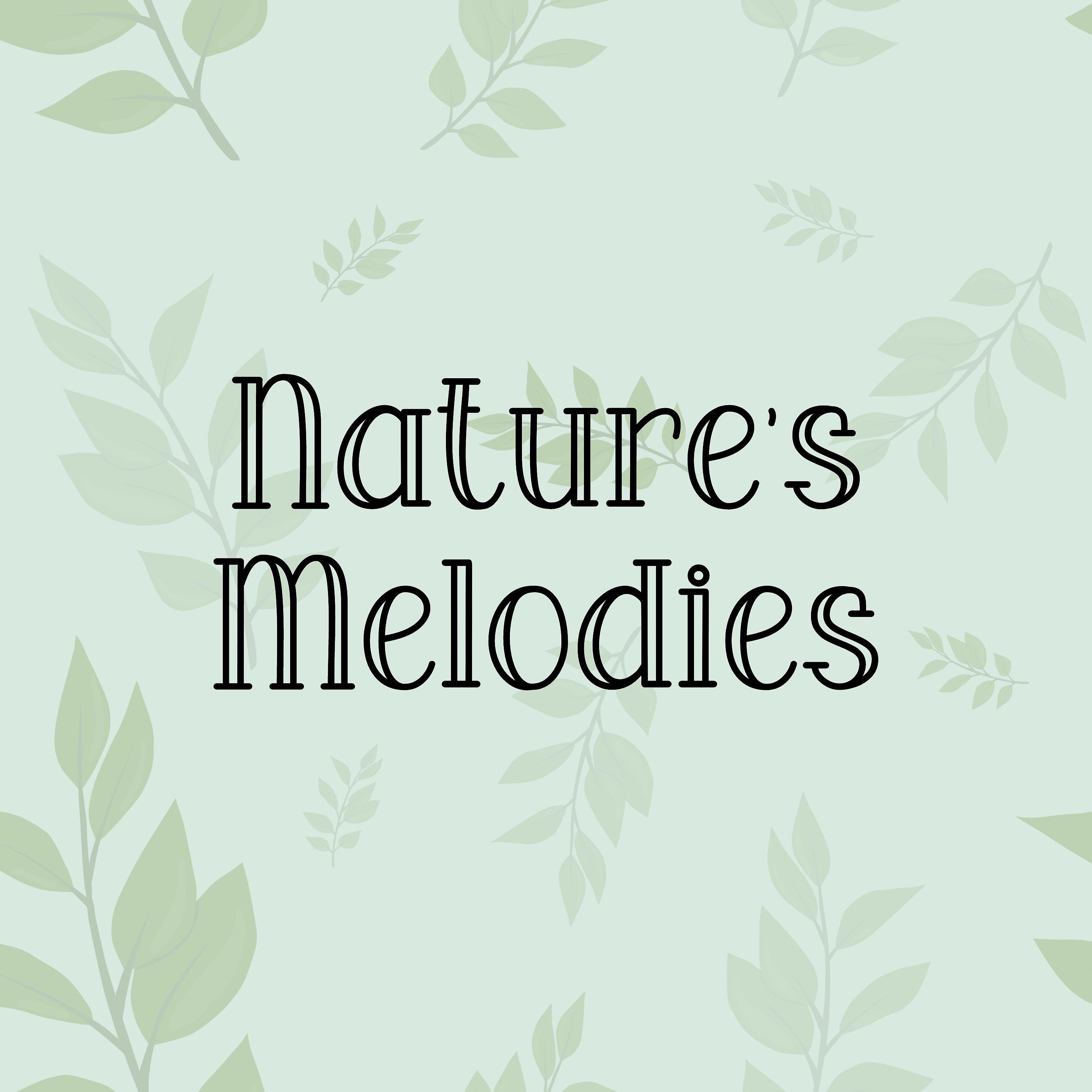 Постер альбома Nature's Melodies
