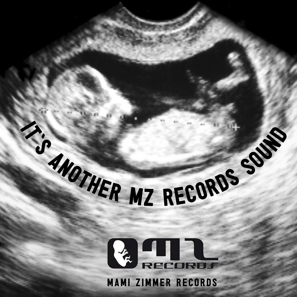 Постер альбома It's Another MZ-Records Sound