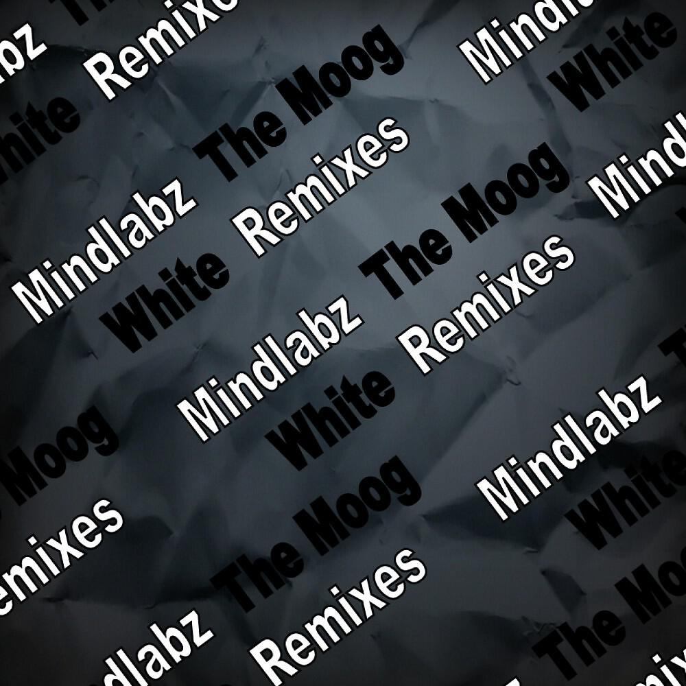 MindLabz - The Moog (Rajiv Jay Remix)