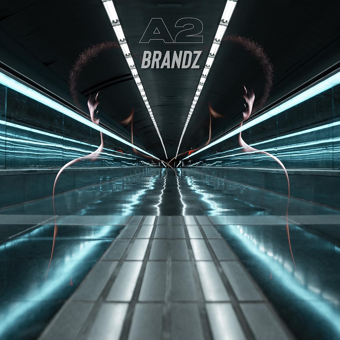 Постер альбома Brandz