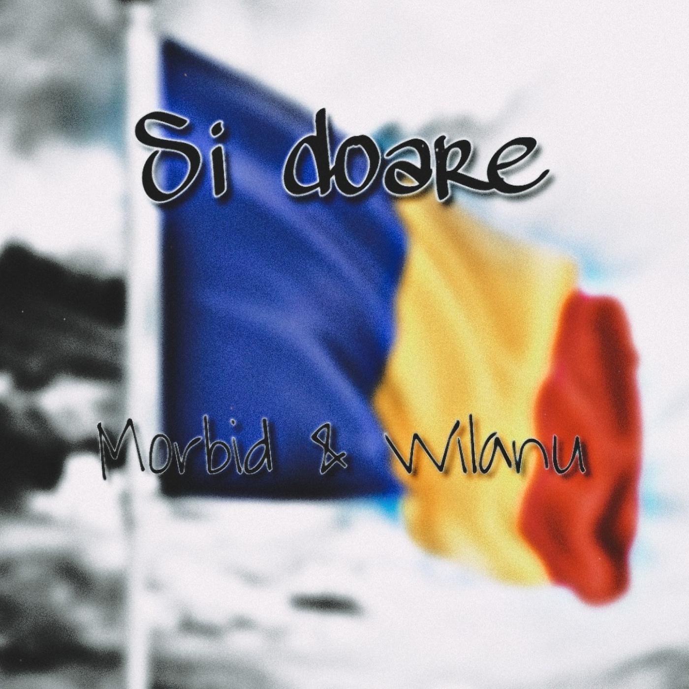Постер альбома Și Doare