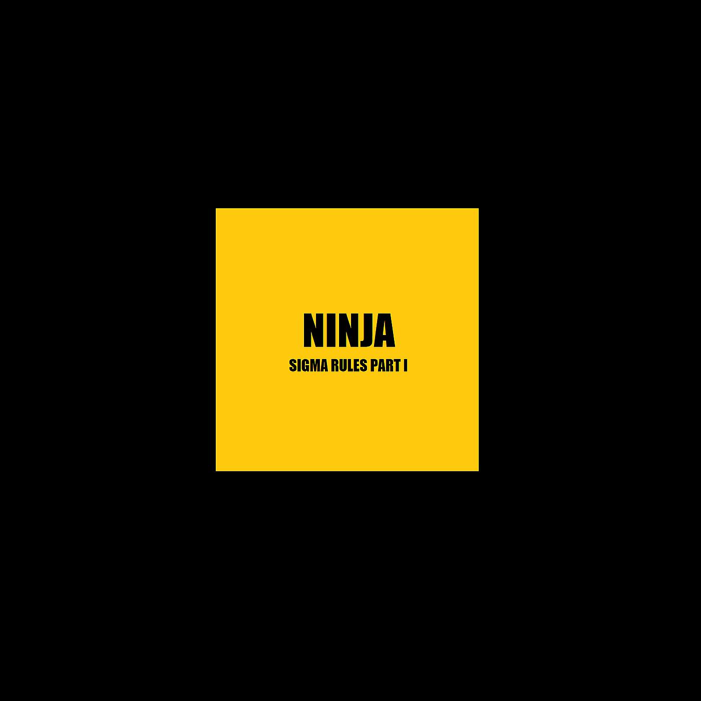 Постер альбома Ninja Sigma Rules, Pt.1