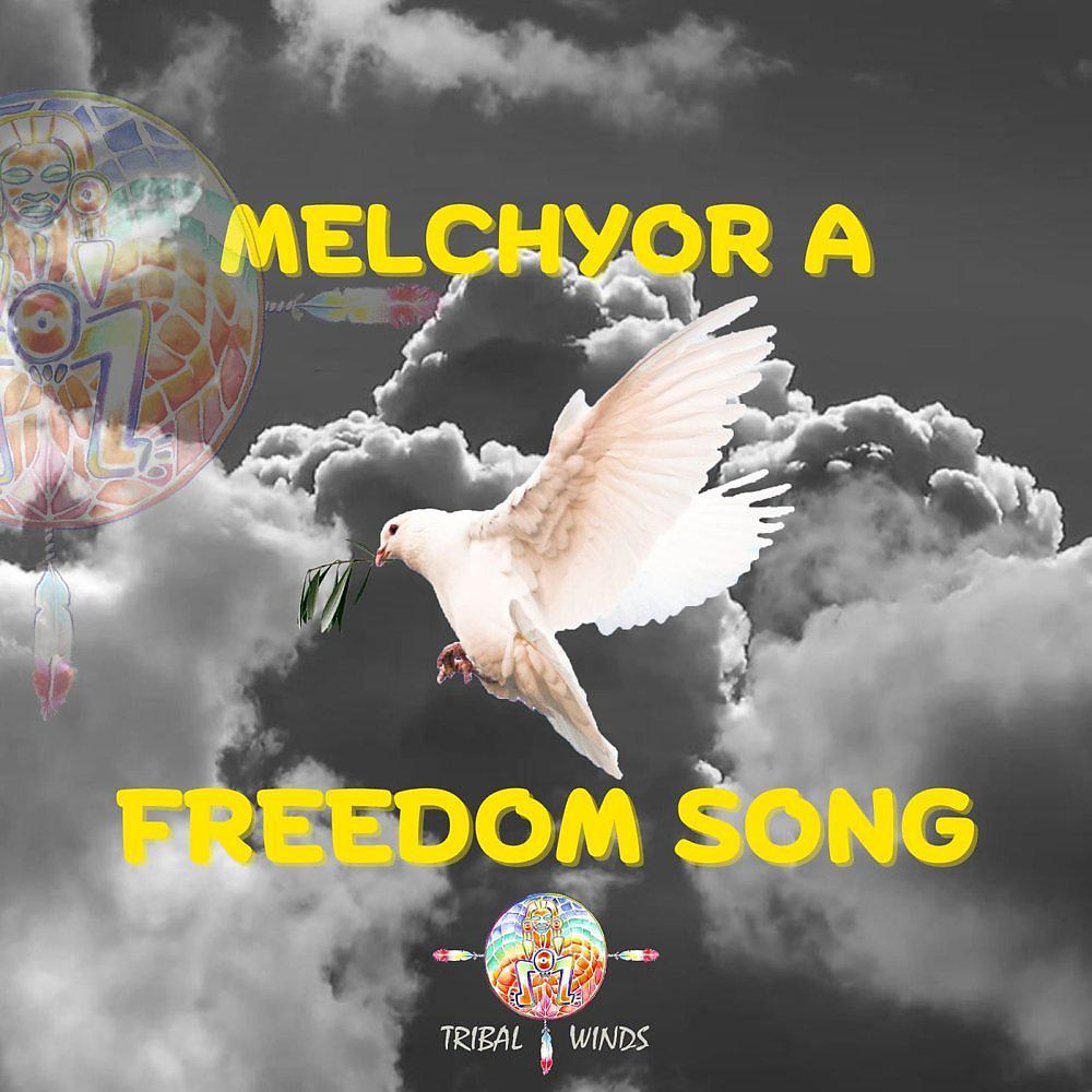 Постер альбома Freedom Song