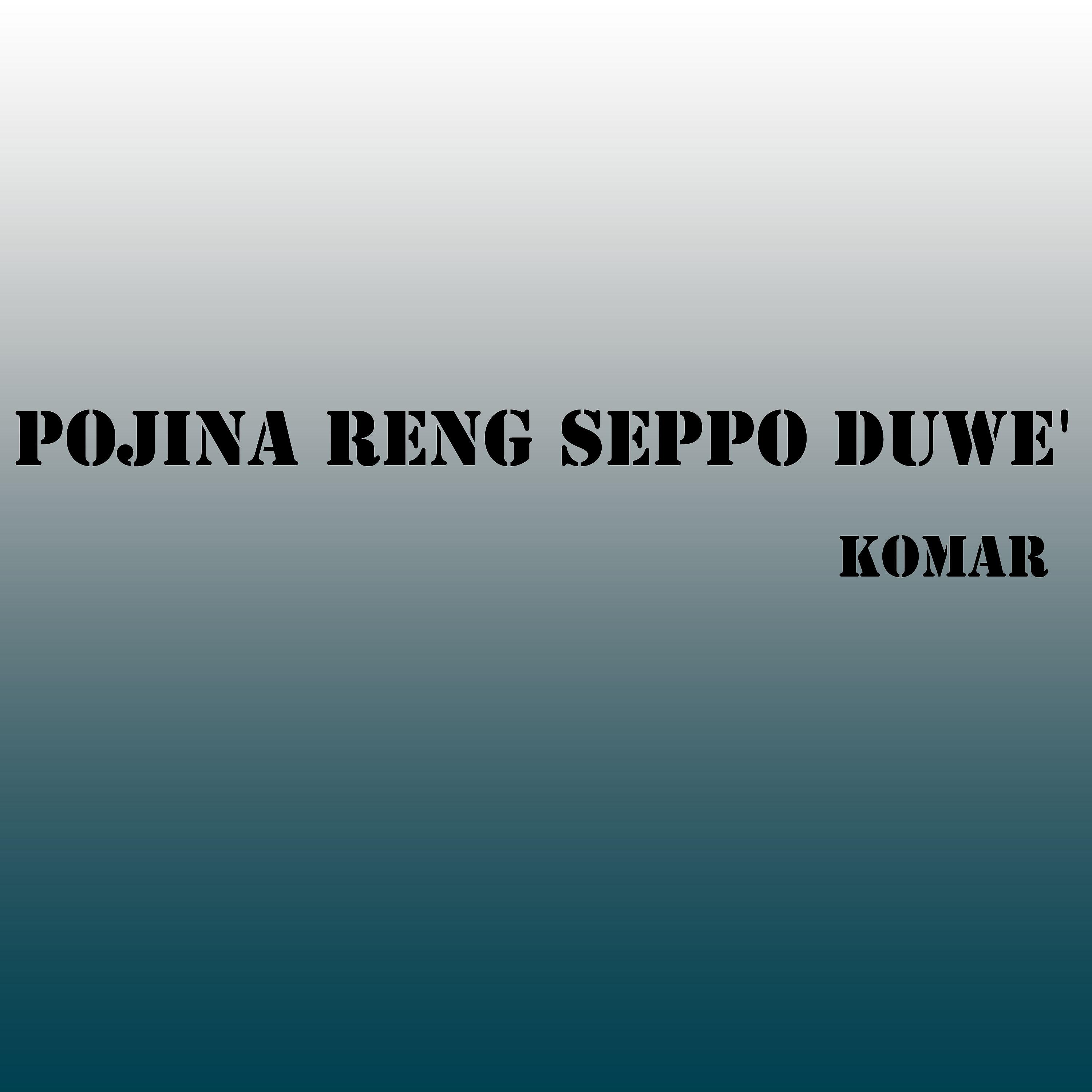 Постер альбома Pojina Reng Seppo Duwe'