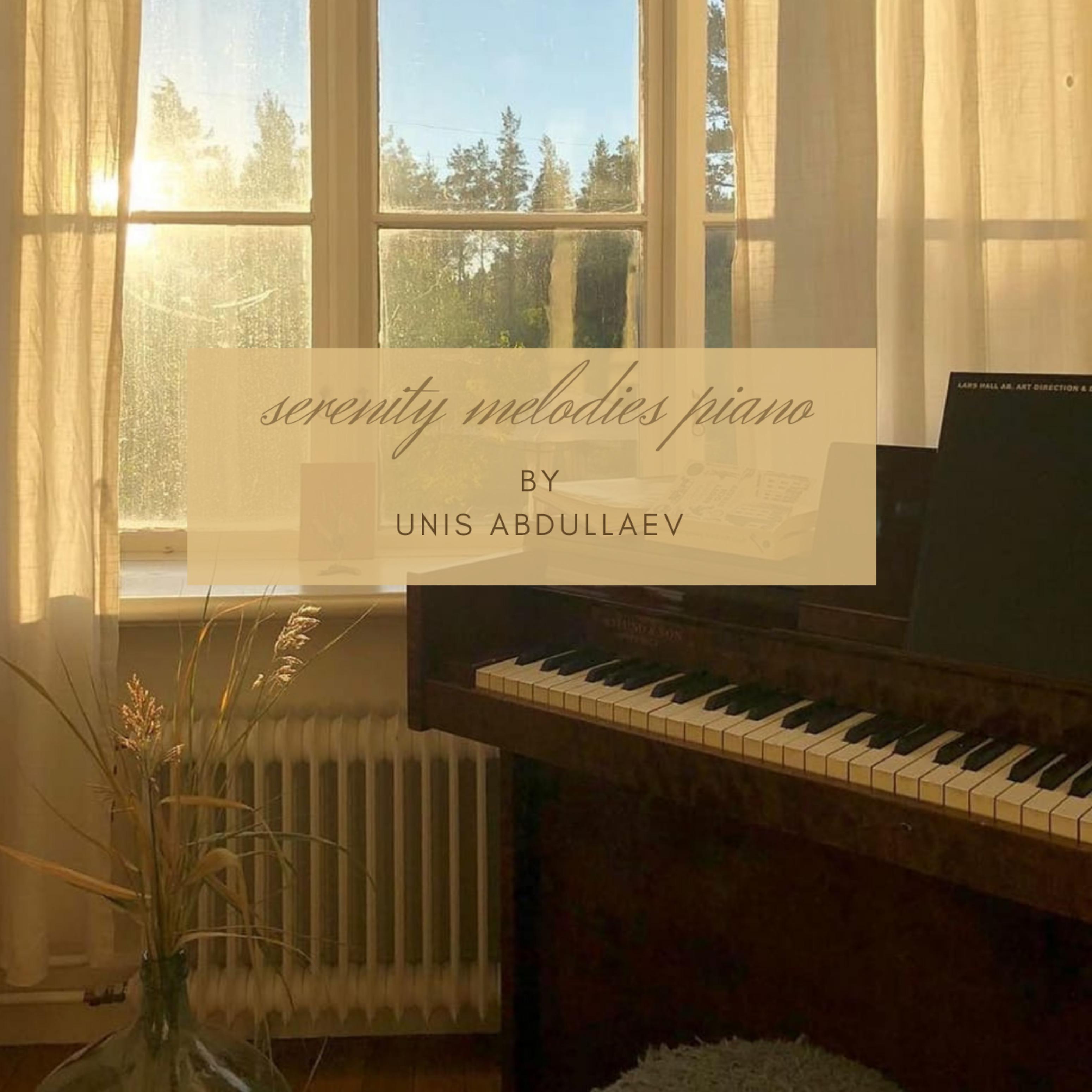 Постер альбома Serenity Melodies Piano