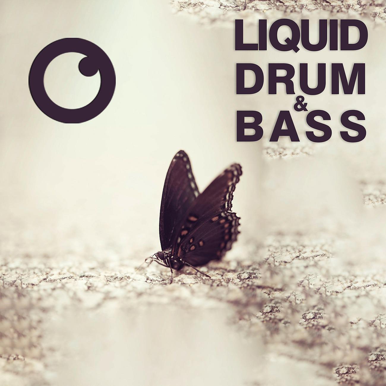 Постер альбома Liquid Drum & Bass Sessions #58