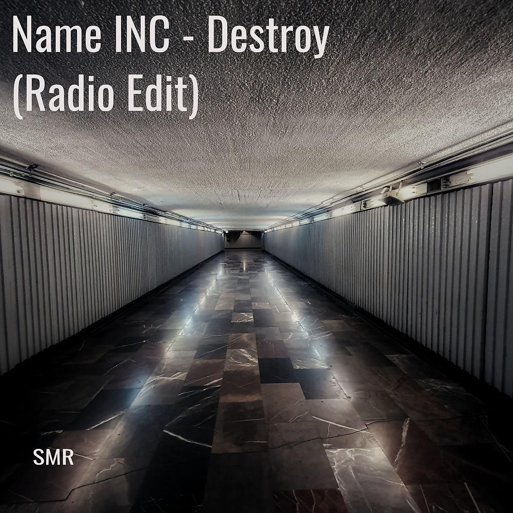 Постер альбома Name Inc - Destroy