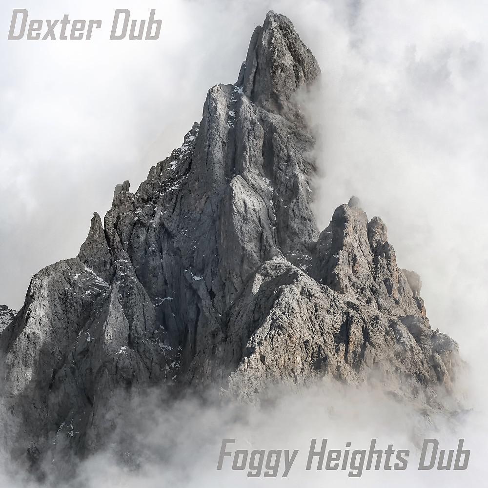 Постер альбома Foggy Heights Dub