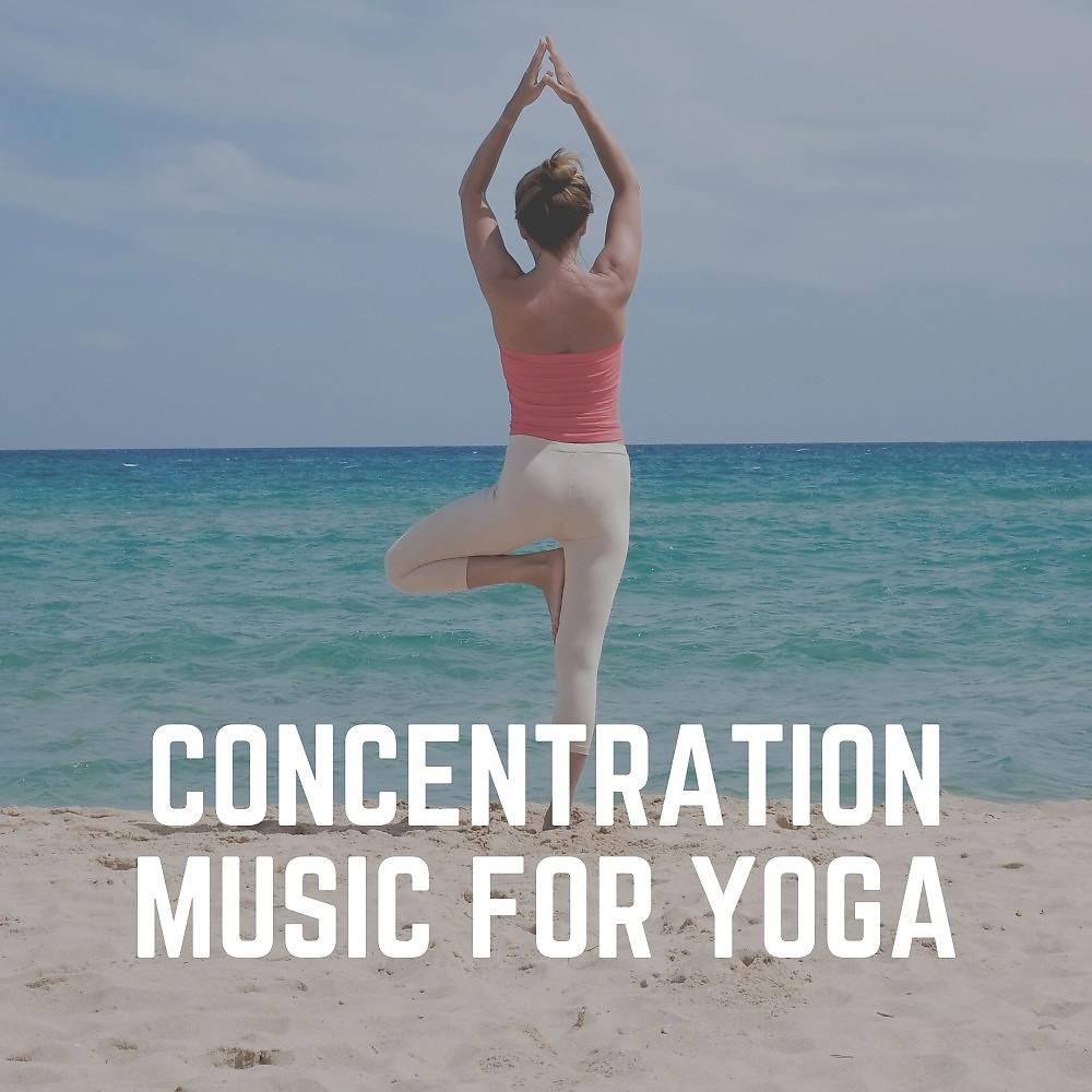 Постер альбома Concentration Music for Yoga