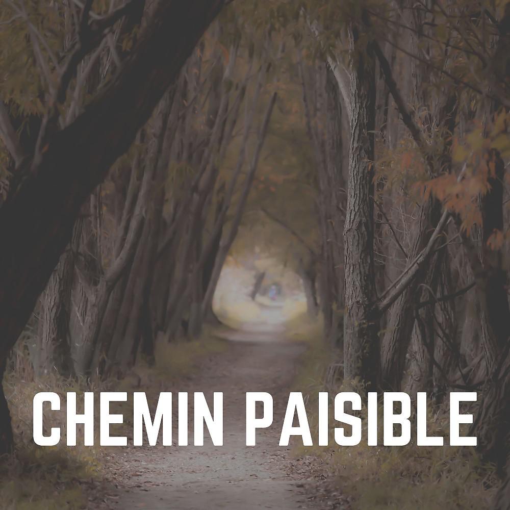 Постер альбома Chemin Paisible