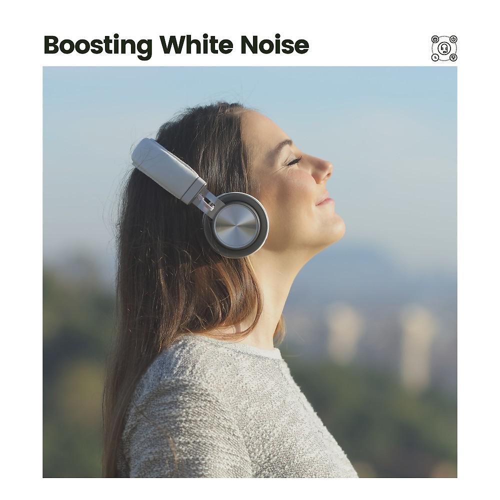 Постер альбома Boosting White Noise