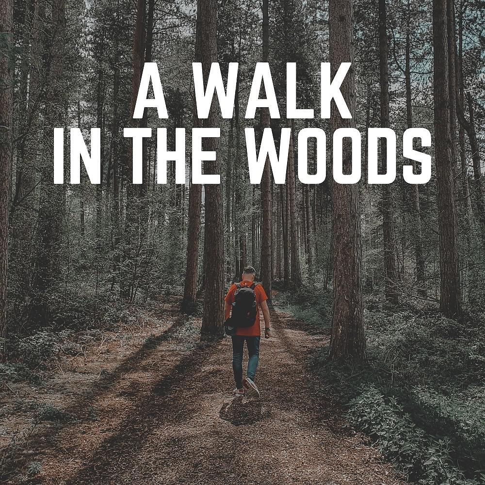 Постер альбома A Walk in the Woods