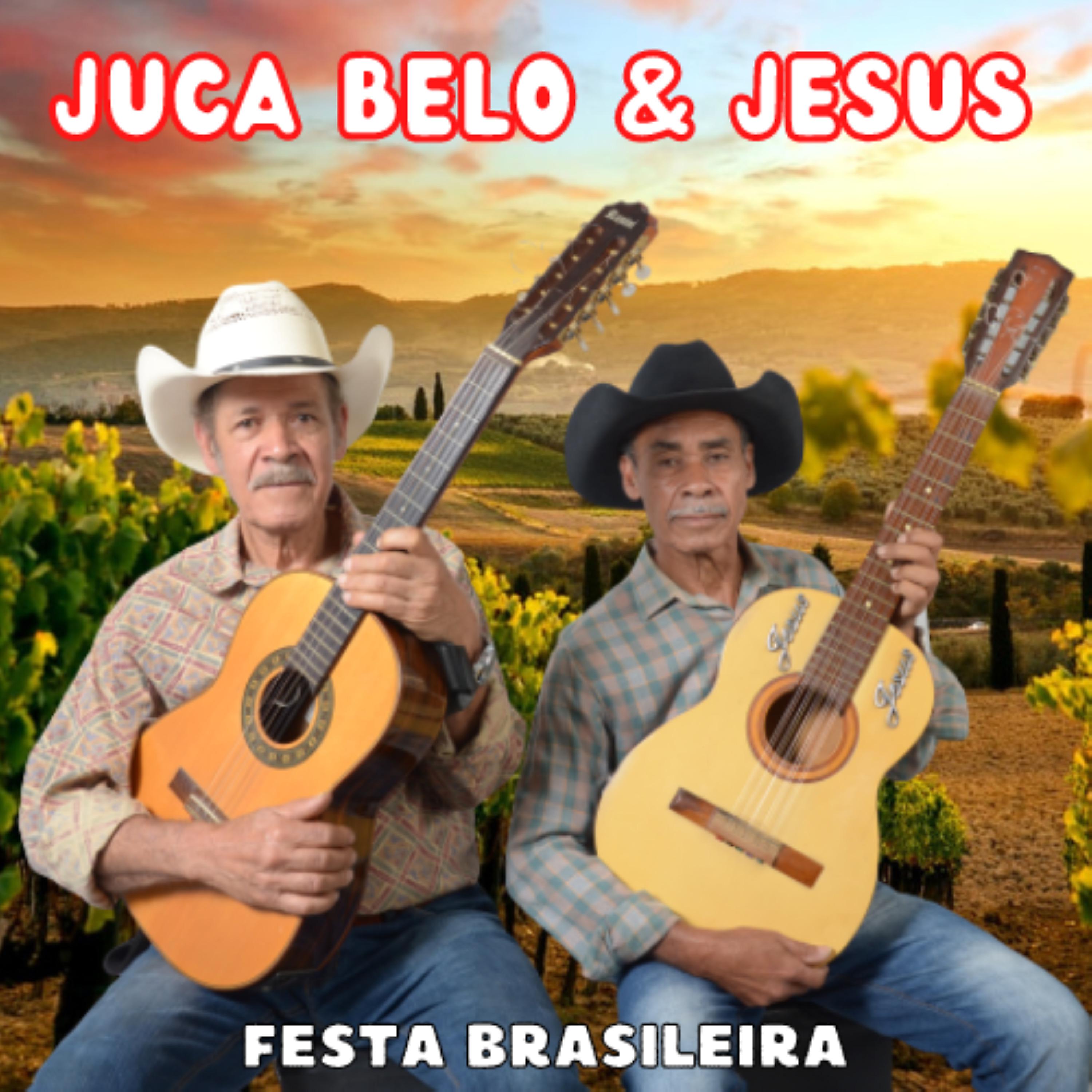 Постер альбома Festa Brasileira