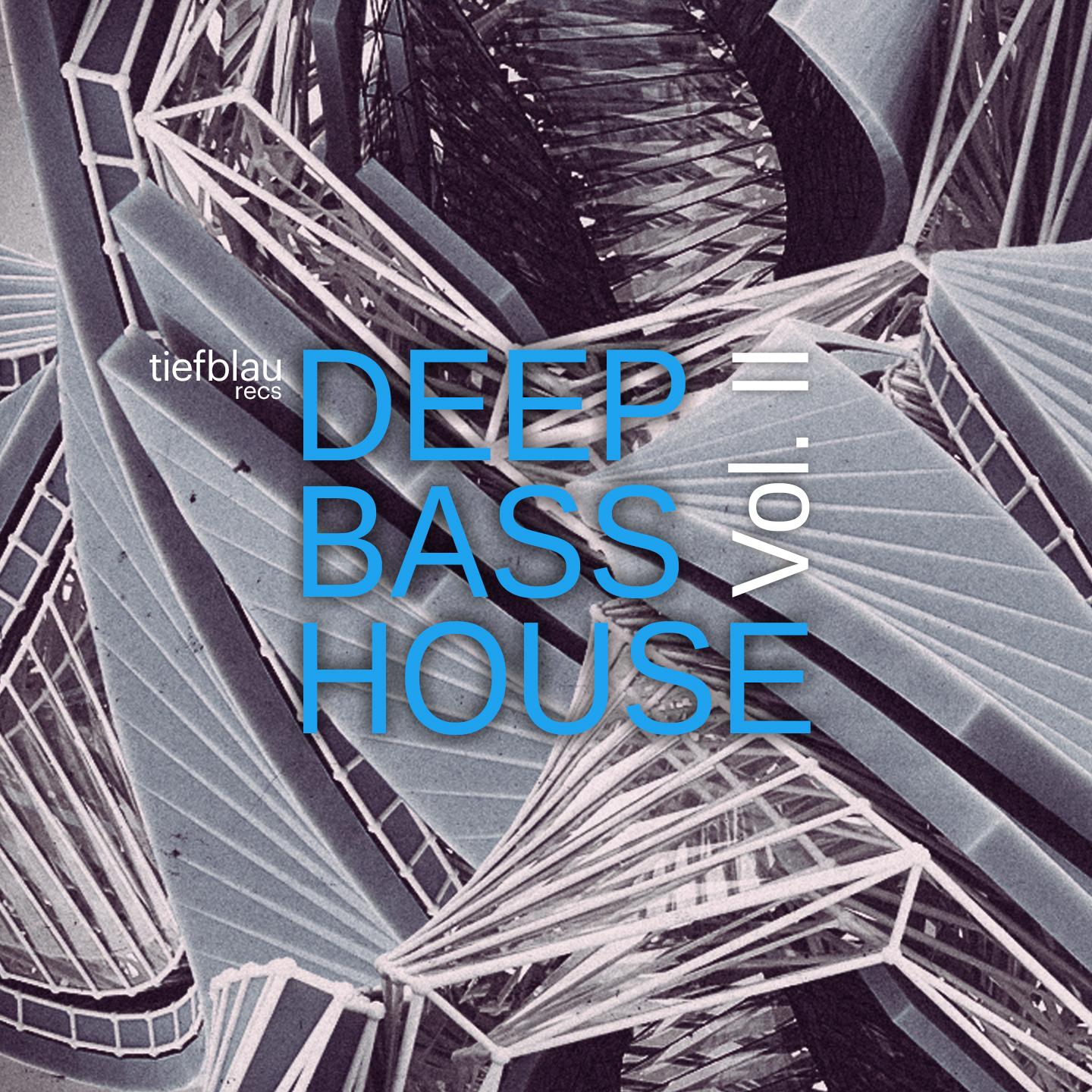 Постер альбома Deep Bass House, Vol. 2