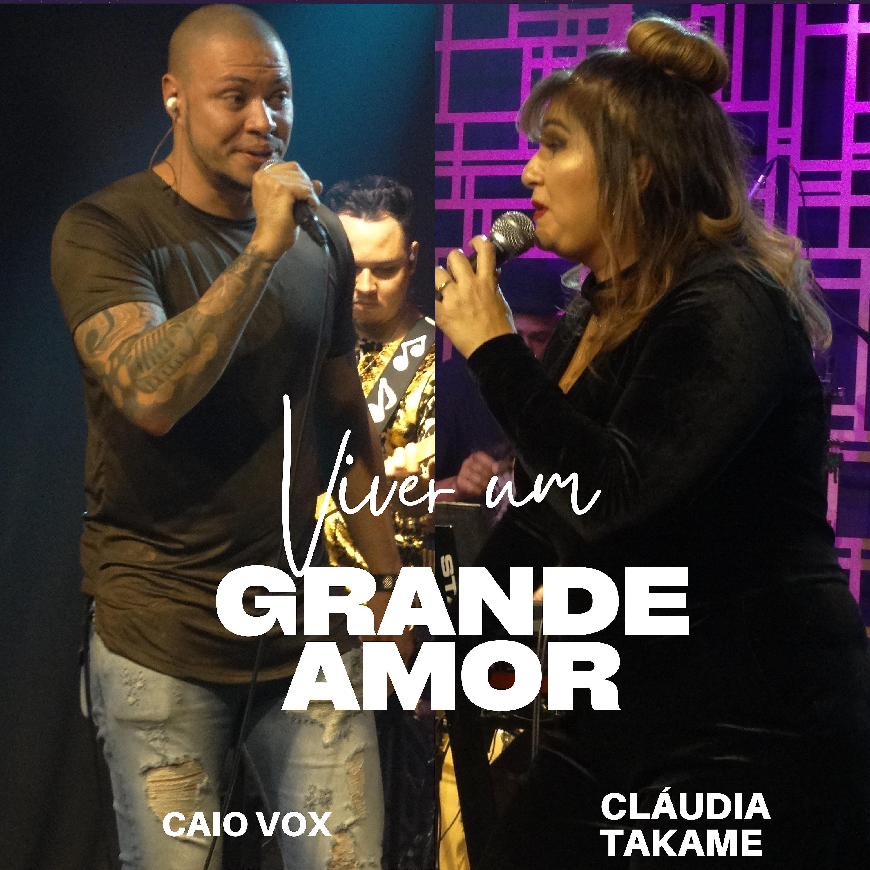 Постер альбома Viver um Grande Amor