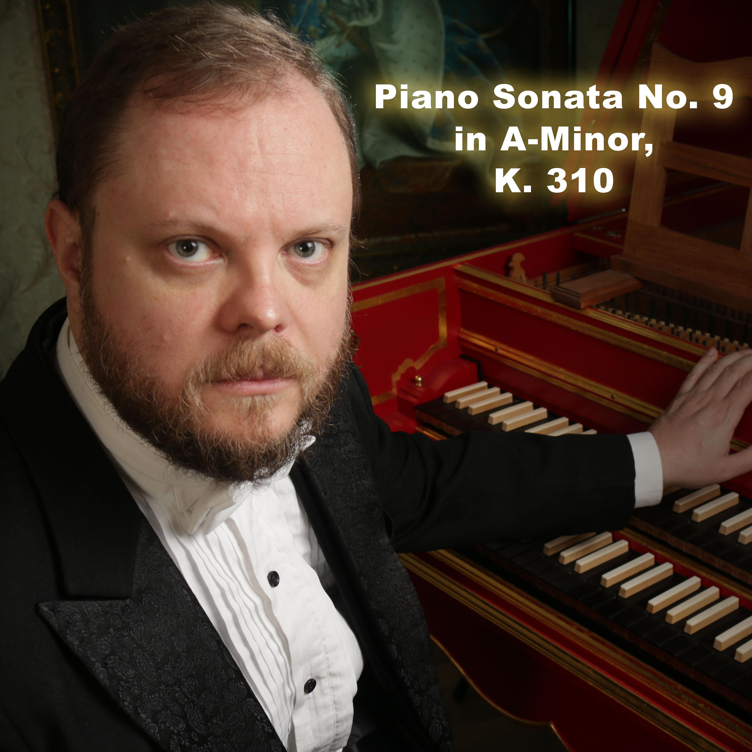 Постер альбома Piano Sonata No. 9 in A Minor, K 310