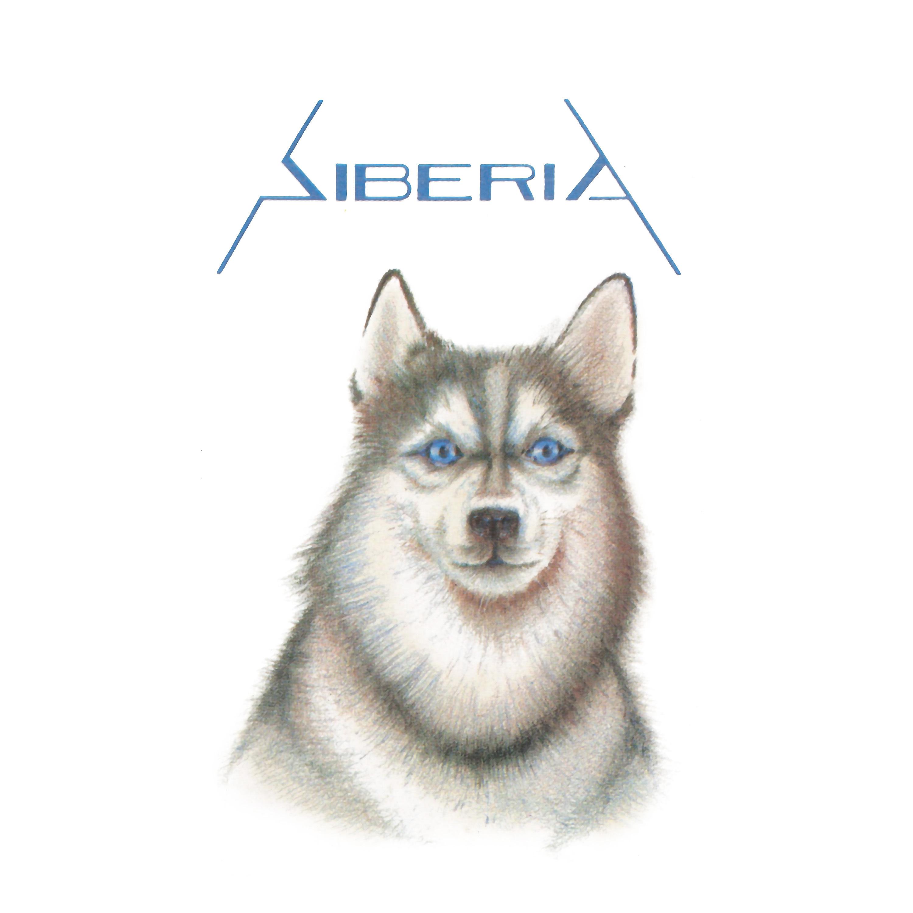 Постер альбома Siberia