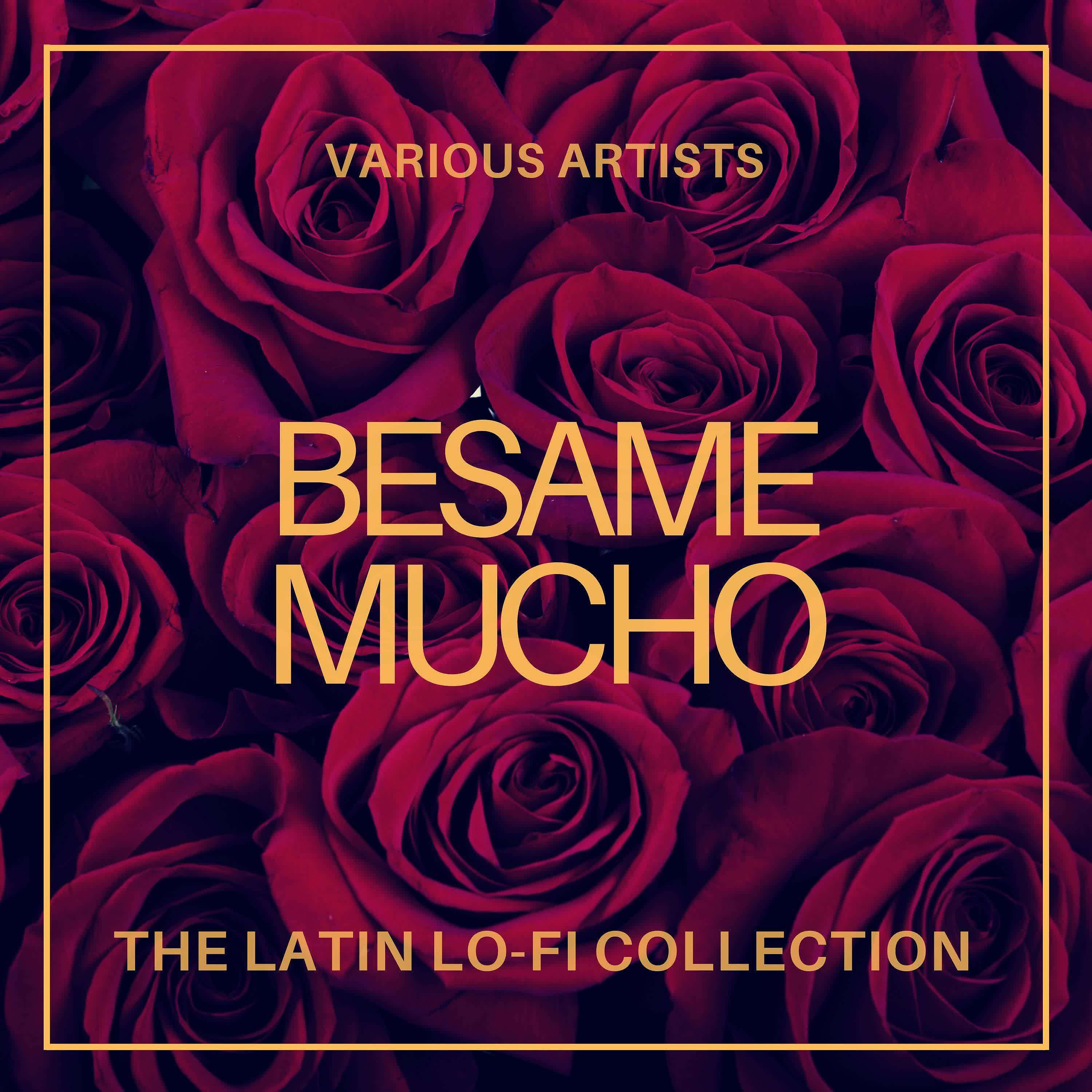 Постер альбома Besame Mucho (The Latin Lo-Fi Collection)