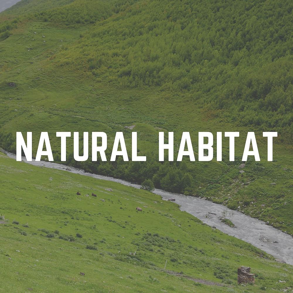 Постер альбома Natural Habitat