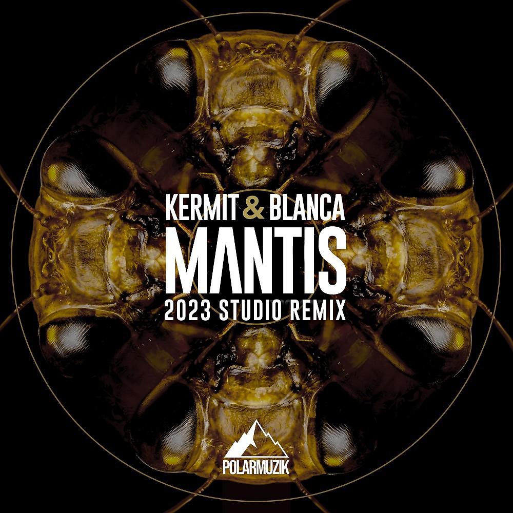 Постер альбома Mantis (2023 Studio Remix)
