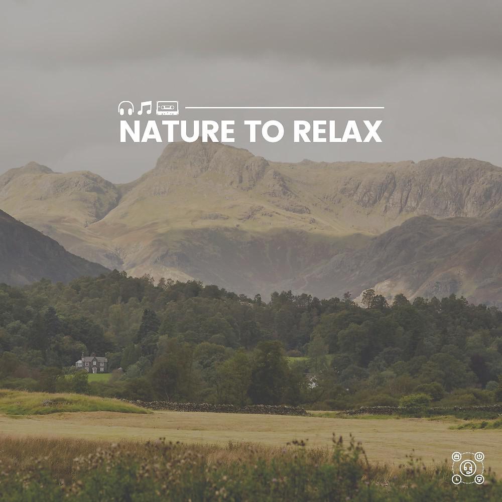Постер альбома Nature to Relax