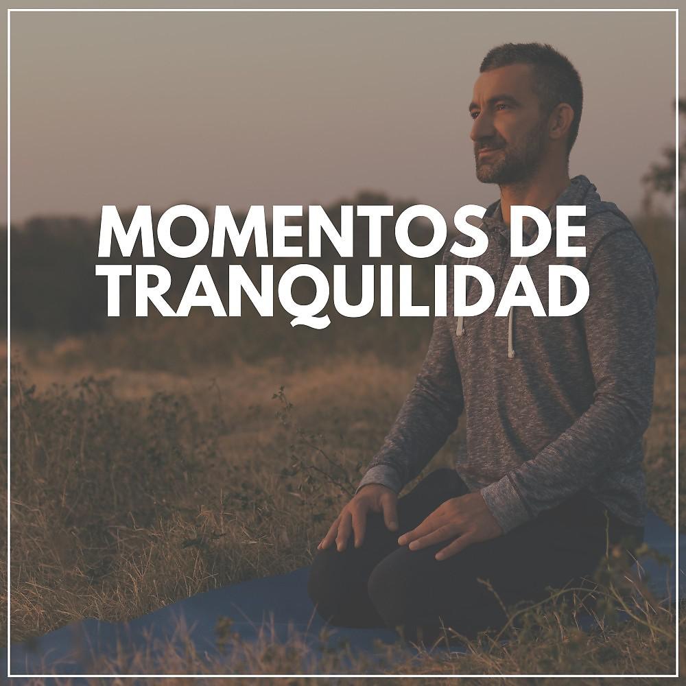 Постер альбома Momentos de Tranquilidad