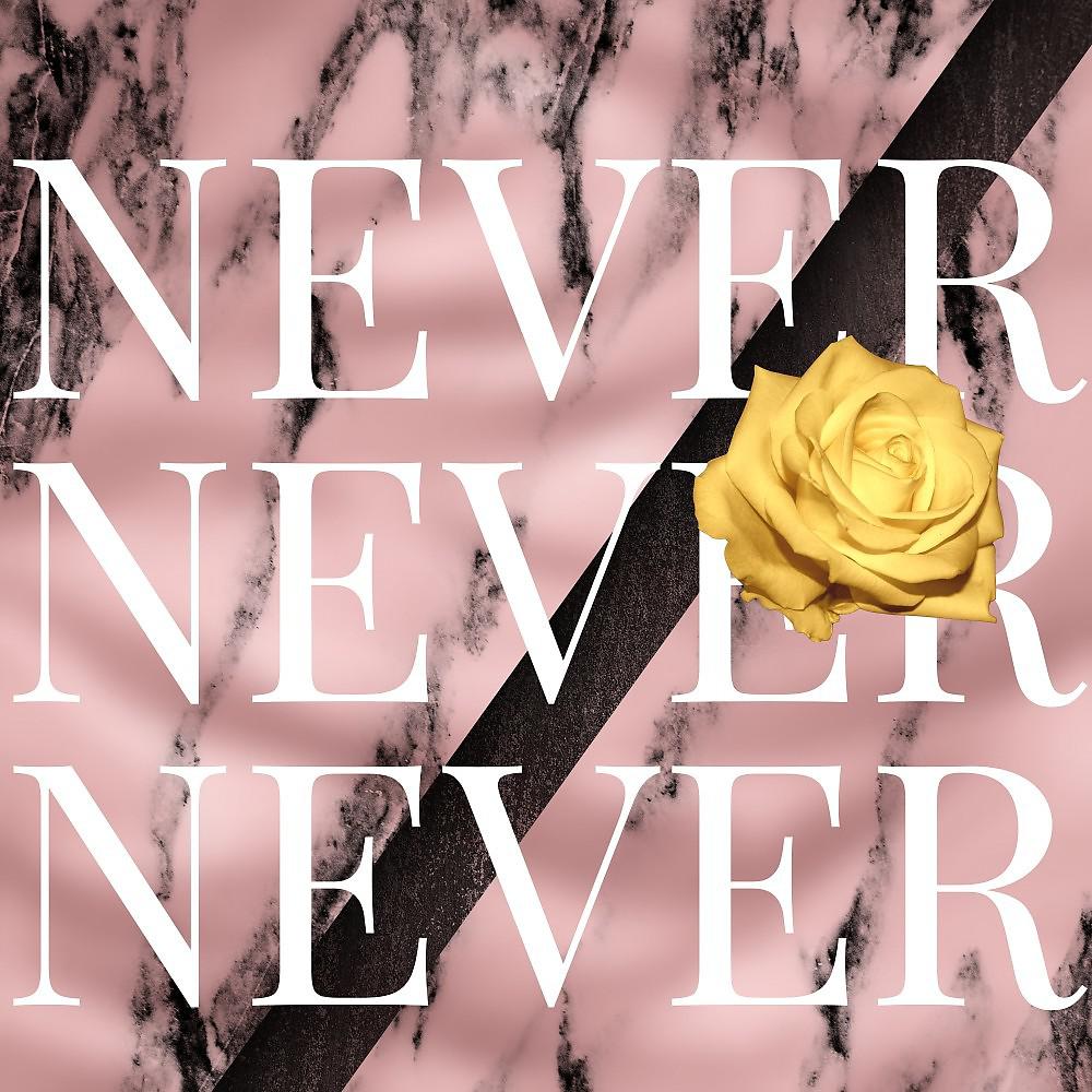 Постер альбома Never Never Never
