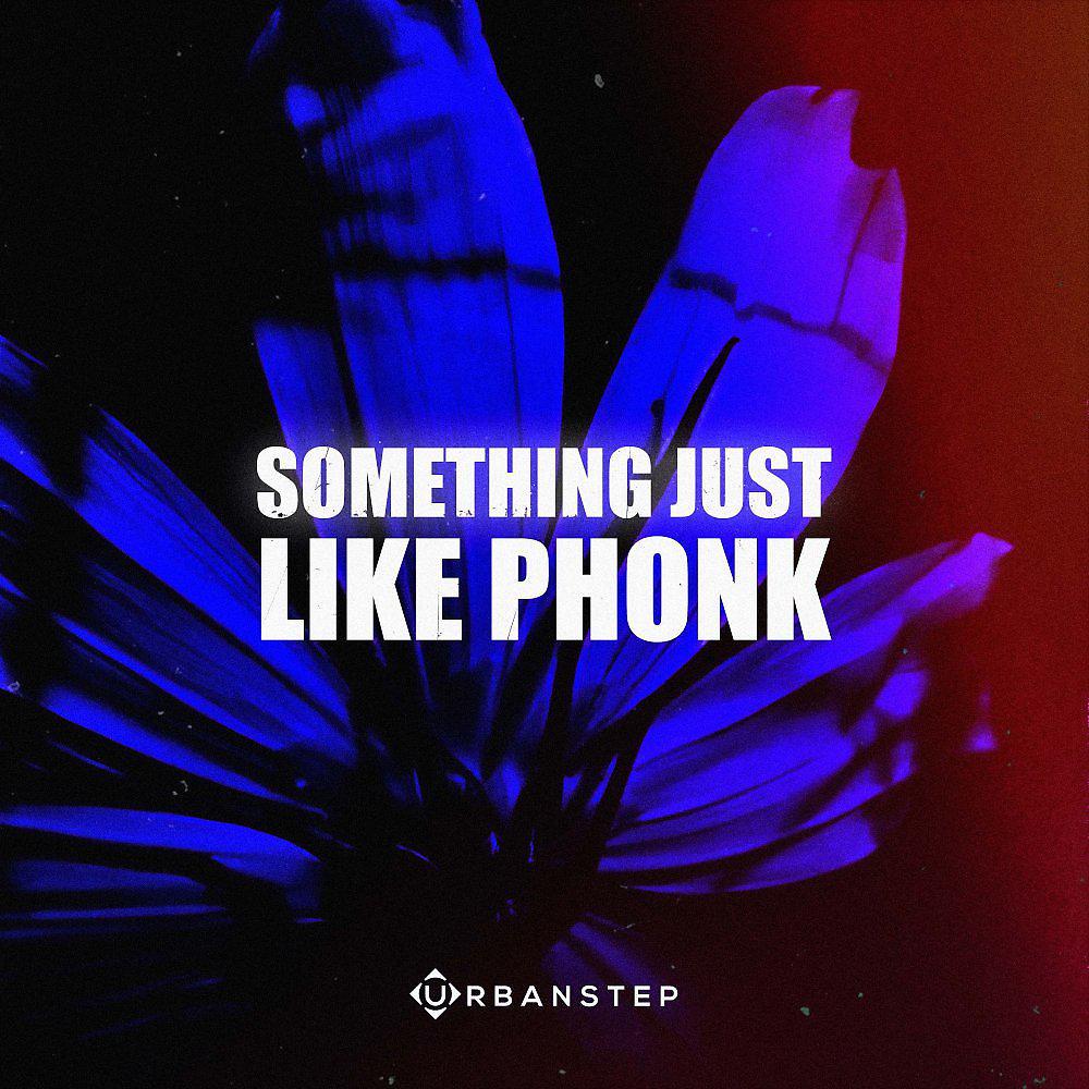 Постер альбома Something Just Like Phonk