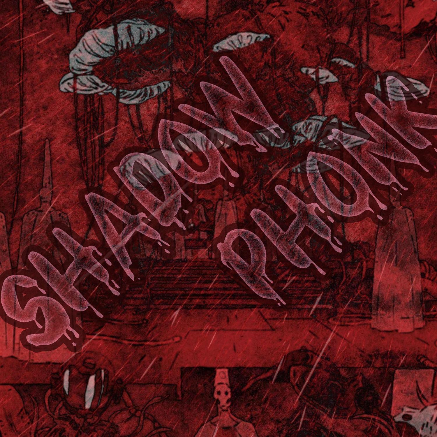 Постер альбома SHADOW PHONK