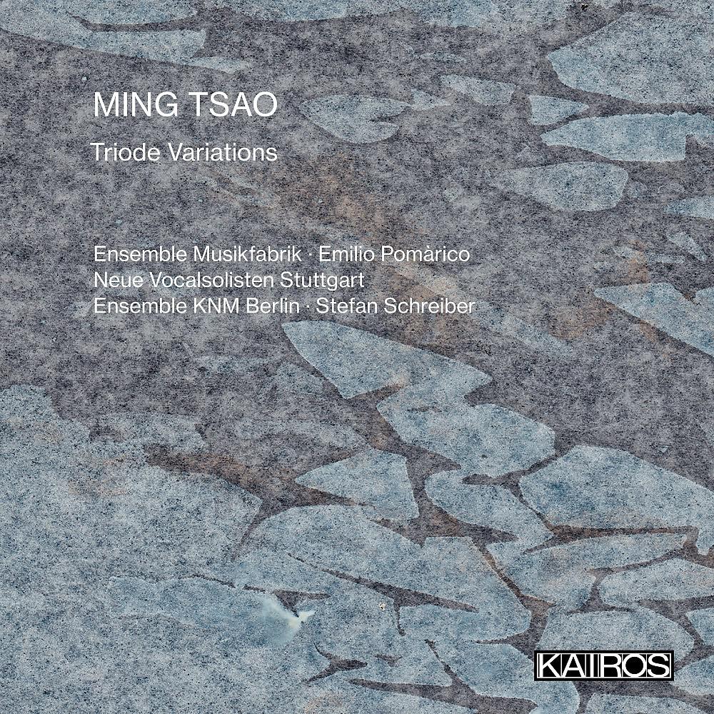 Постер альбома Ming Tsao: Triode Variations